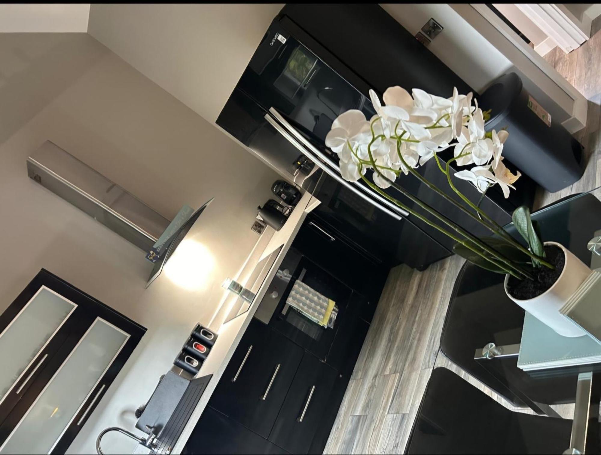 Kelly'S Roost Apartment Doagh Bagian luar foto